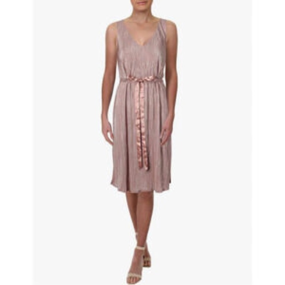 Rachel Roy Women’s Dress Metallic Rose Pleated Ribbon Midi Size 4 NWT
